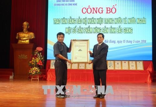 Bắc Giang: Trao văn bằng bảo hộ nhãn hiệu cho các sản phẩm nông sản tiêu biểu - ảnh 1