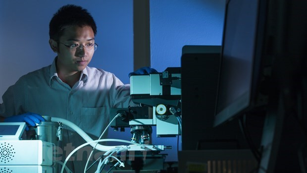 Australia tài trợ nhóm nghiên cứu của Tiến sĩ người Việt phát triển công nghệ pin Mặt trời thế hệ mới - ảnh 1