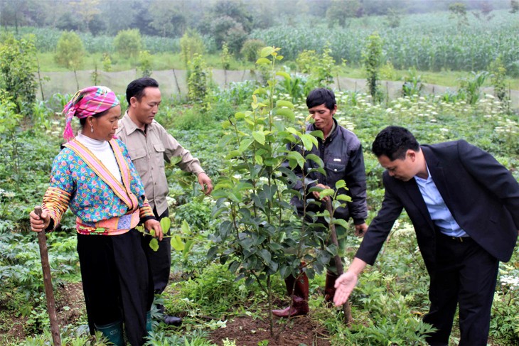 Xuân đến cùng những tin yêu - ảnh 1