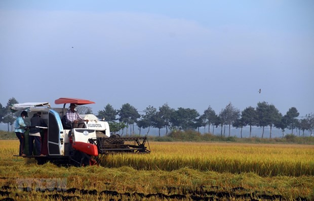 Đối thoại quốc gia lần thứ 2 hướng tới Hội nghị cấp cao của Liên hợp quốc về Hệ thống Lương thực - Thực phẩm 2021 - ảnh 1