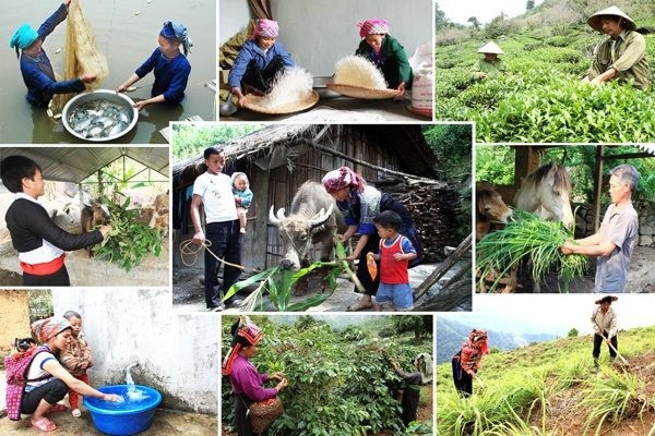 Thúc đẩy các chính sách đảm bảo an ninh nước để phát triển bền vững - ảnh 1