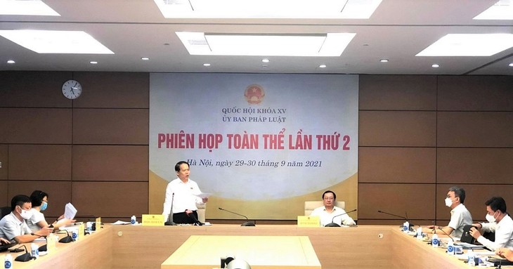 Phiên họp Ủy ban Pháp luật: Sửa đổi Luật Sở hữu trí tuệ đảm bảo tính tương thích với các cam kết quốc tế  - ảnh 1