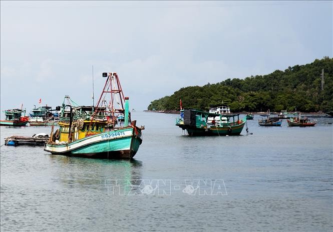 Giải pháp phát triển bền vững kinh tế biển xanh - ảnh 1