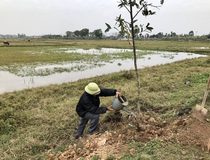 Kiều bào CHLB Đức khơi dậy tình yêu trồng và chăm sóc cây xanh - ảnh 4