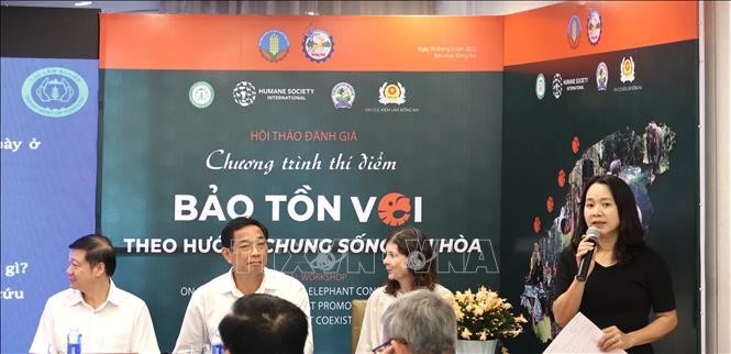 Bảo tồn voi theo hướng chung sống hài hòa - ảnh 1