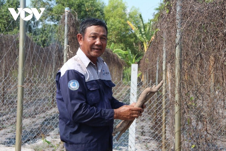 Nông dân Bà Rịa – Vũng Tàu biến cây rừng thành sản phẩm OCOP - ảnh 1