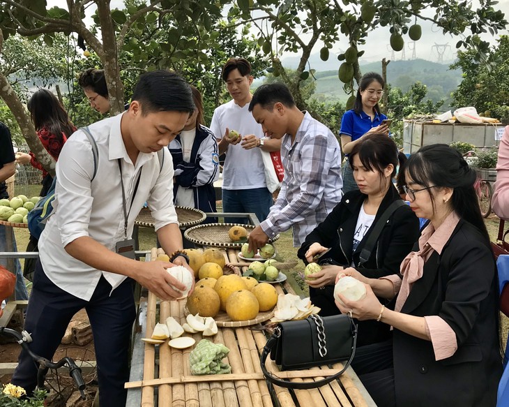 Nghệ An thử nghiệm tour du lịch trải nghiệm văn hoá đồng bào dân tộc Thổ - ảnh 4