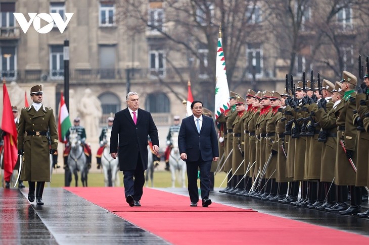 Tăng cường hợp tác nhiều mặt Việt Nam - Hungary - ảnh 1