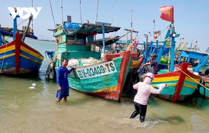 Thông tin biển đảo ngày 12/10/2024 - ảnh 3