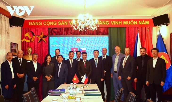 Tăng cường hợp tác giáo dục - đào tạo giữa Việt Nam - Séc - ảnh 1