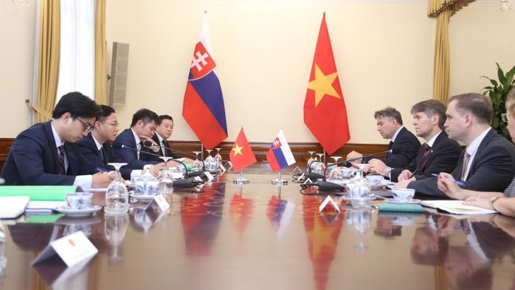 Tham vấn chính trị Việt Nam - Slovakia - ảnh 1