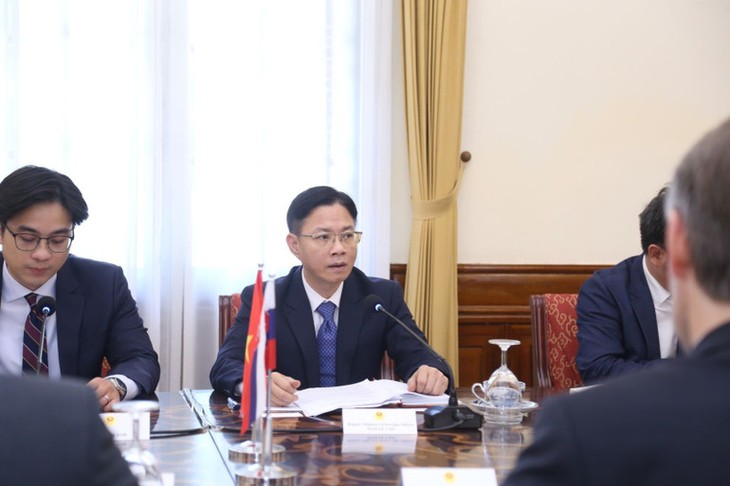 Tham vấn chính trị Việt Nam - Slovakia - ảnh 2