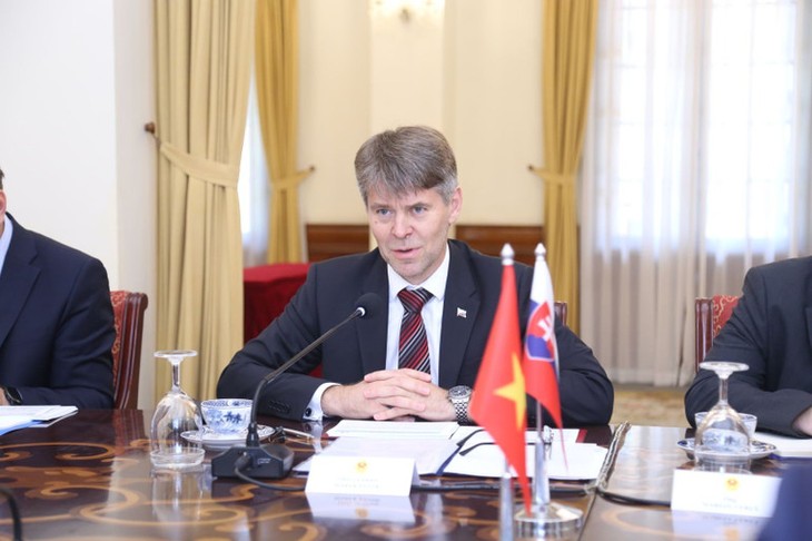 Tham vấn chính trị Việt Nam - Slovakia - ảnh 3
