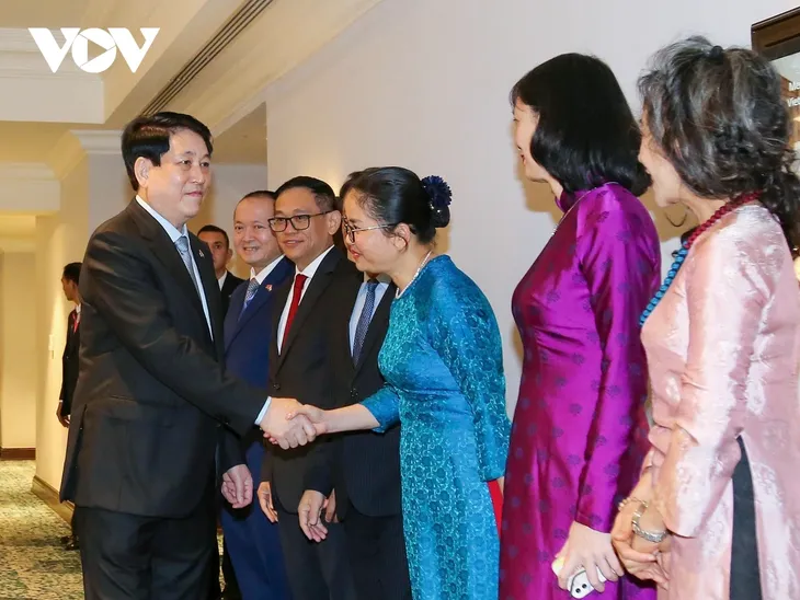 Chủ tịch nước Lương Cường làm việc với các Đại sứ Việt Nam tại khu vực Châu Phi - ảnh 5