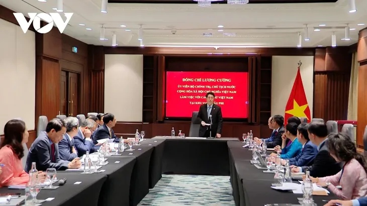 Chủ tịch nước Lương Cường làm việc với các Đại sứ Việt Nam tại khu vực Châu Phi - ảnh 1