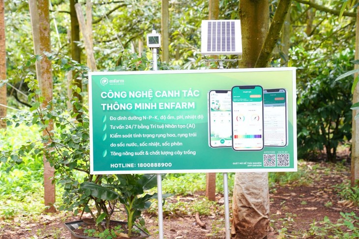 Nông nghiệp chuyển đổi số, chuyển đổi xanh trong bối cảnh mới - ảnh 4