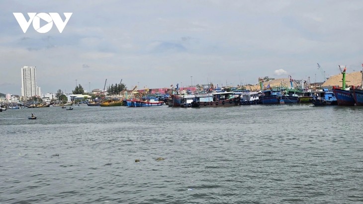 Ngư dân Gia Lai nỗ lực gỡ “thẻ vàng” IUU - ảnh 3