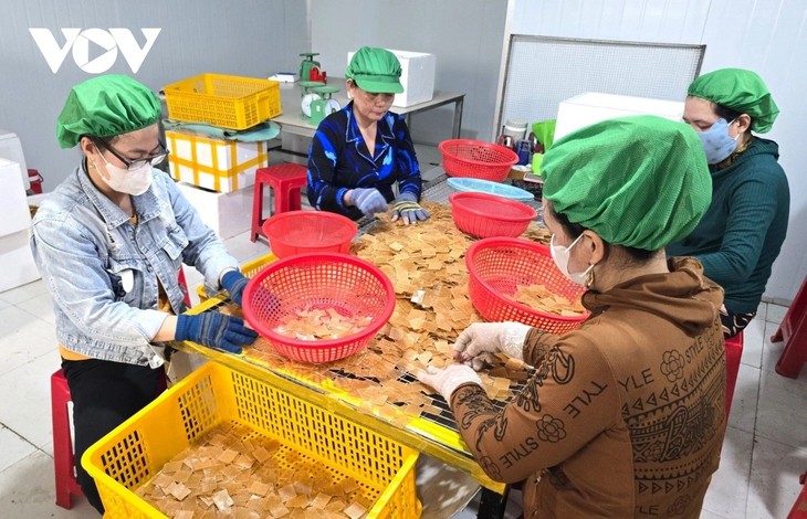 Làng nghề bánh phồng tôm Năm Căn tất bật cung ứng hàng Tết - ảnh 3