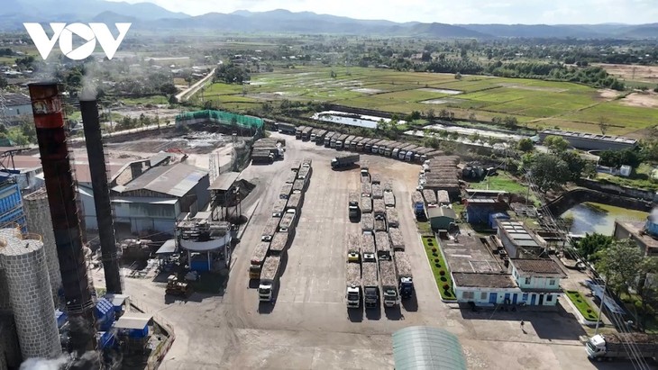 Chuyển đổi số: đòn bẩy để nông sản Gia Lai vươn xa - ảnh 4