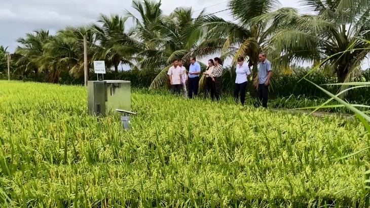 Số hóa nông nghiệp - con đường làm giàu từ ruộng vườn quê hương - ảnh 1