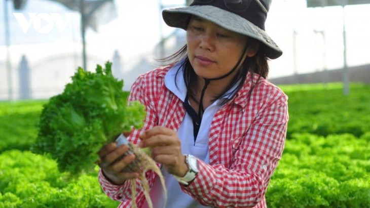 Bước tiến lớn cho vùng trọng điểm nông nghiệp Đơn Dương (Lâm Đồng) - ảnh 2