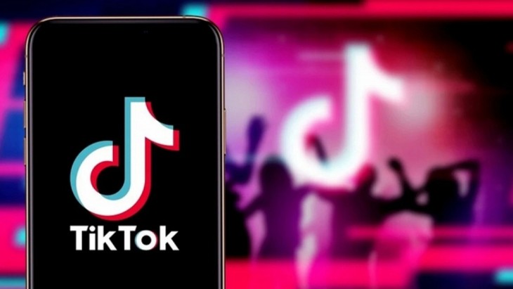 TikTok found to violate Vietnamese law, says MIC official - ảnh 1
