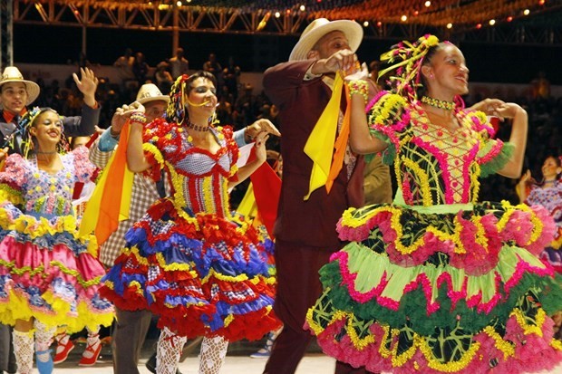 Vietnamese Embassy in Brazil organises Festa Junina - ảnh 1