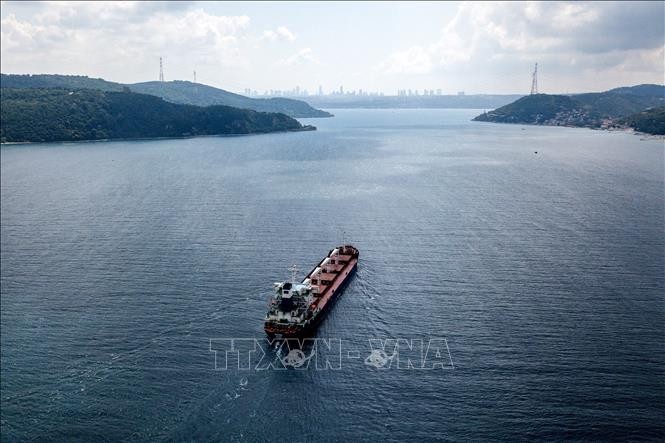 Turkey pushes talks with Russia on Black Sea grain deal - ảnh 1