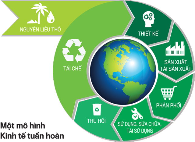 Pilot mechanism for circular economy   - ảnh 1