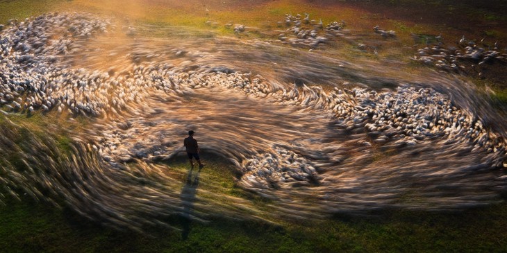 Local photographer honoured at Epson International Pano Awards 2023 - ảnh 1