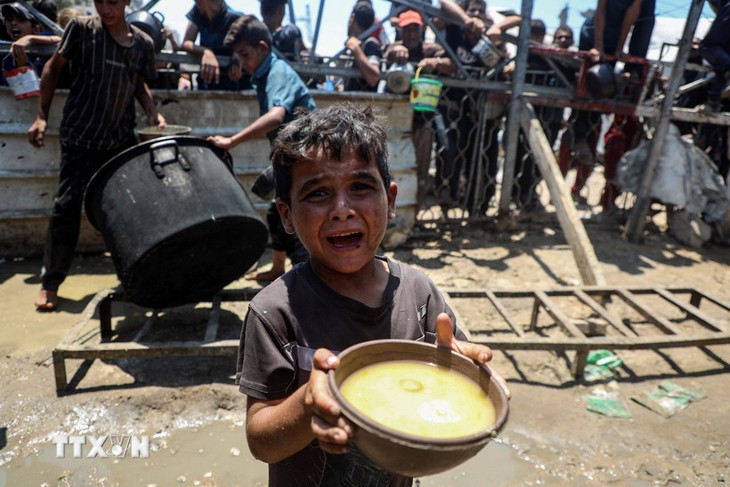 UK, France, Germany call for immediate end to Gaza humanitarian catastrophe  - ảnh 1