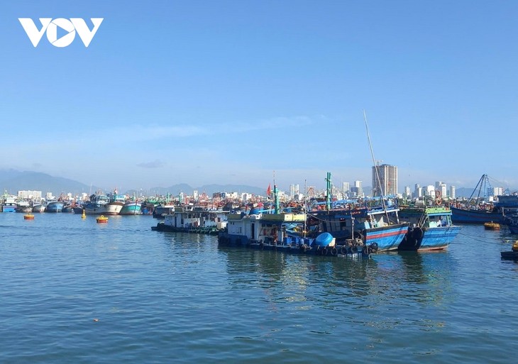 Khanh Hoa fishermen commit to legal, sustainable fishing - ảnh 1