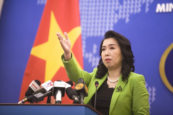Вьетнам выражает протест против нарушения суверенитета в районе Восточного моря - ảnh 1