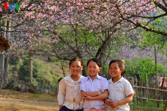 ดอกท้อแห่งวสันต์บานสายในอำเมือง Moc Chau - ảnh 4