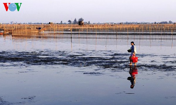 ภาพที่สวยงามในคุ้งน้ำChuồn - ảnh 10