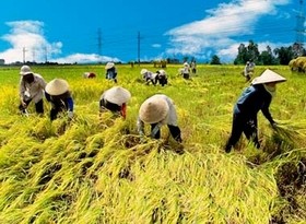 การสัมมนา “ ความมั่นคงด้านอาหารของเวียดนาม- สถานการณ์  นโยบายและแนวโน้มการพัฒนา” - ảnh 1