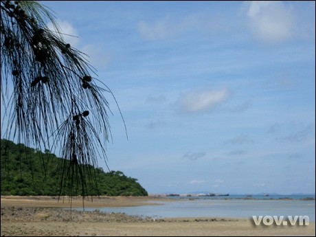 เกาะโกโต-ความสวยงามตามธรรมชาติ - ảnh 7