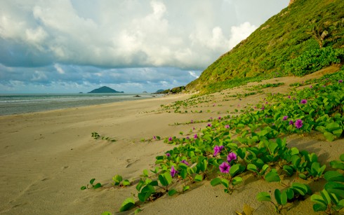 ไปเยือนเกาะกงดอ - ảnh 2