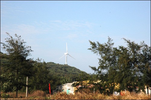 เกาะBạch Long Vĩ - ảnh 6