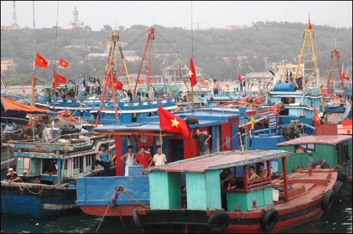 เกาะBạch Long Vĩ - ảnh 2