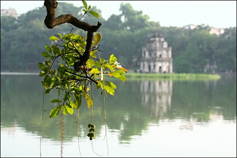 ฤดูใบไม้ร่วงในฮานอย - ảnh 2