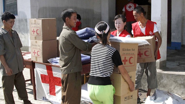 สาธารณรัฐเกาหลีอนุญาตให้องค์การภาคเอกชนส่งสิ่งของช่วยเหลือให้แก่เปียงยาง - ảnh 1