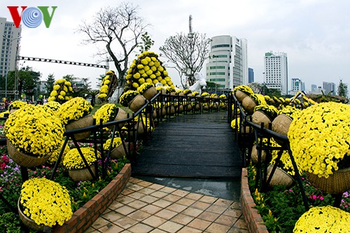 ความสวยงามของถนนบุปผชาติแบกดั่งปี๒๐๑๕ - ảnh 11