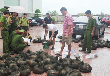 เวียดนามและลาวผลักดันการต่อต้านการลักลอบค้าทรัพยากรธรรมชาติ - ảnh 1