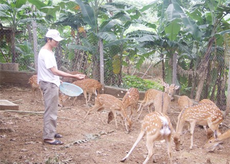 รูปแบบการเชื่อมโยงห่วงโซ่และเพิ่มมูลค่าการผลิตการเกษตรในจังหวัดห่าติ๋ง - ảnh 2