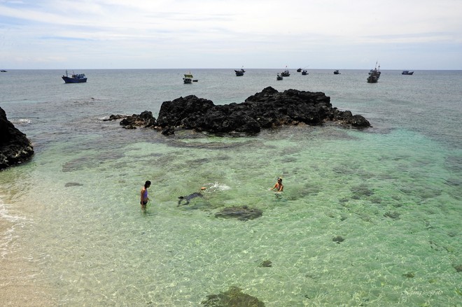 ความสวยงามของเกาะลี้เซิน - ảnh 6