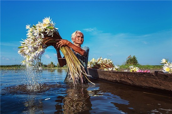 ๒๐ภาพถ่ายเกี่ยวกับความสวยงามของเวียดนาม (ตอนที่๑) - ảnh 7