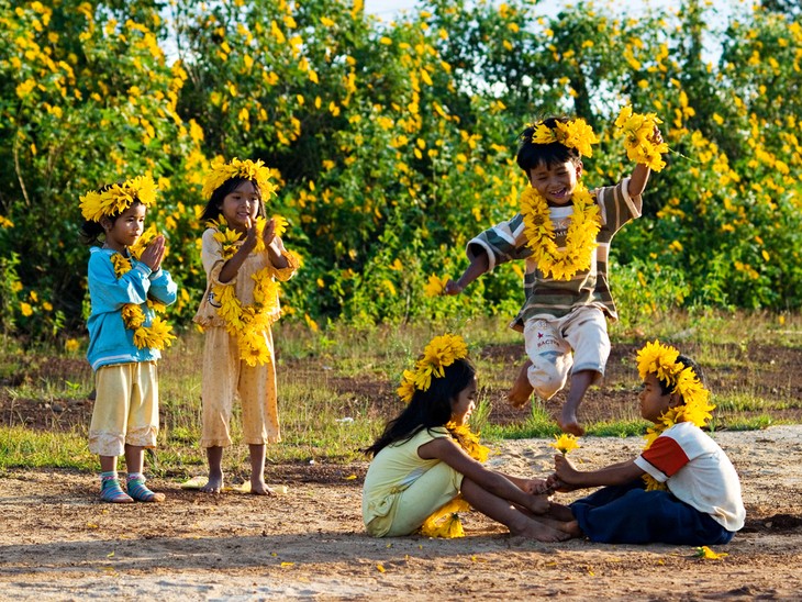 ความสวยงามของดอกบัวตองในเมืองดาลัด - ảnh 5