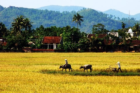 บรรยากาศการดำเนินชีวิตของหมู่บ้านเวียดนาม - ảnh 1