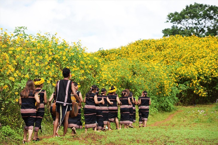 ดอกบัวตองบานสะพรั่งที่บริเวณรอบภูเขาไฟจือดังยา  - ảnh 3